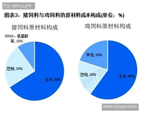 日本足球盈利模式探讨与未来发展趋势分析